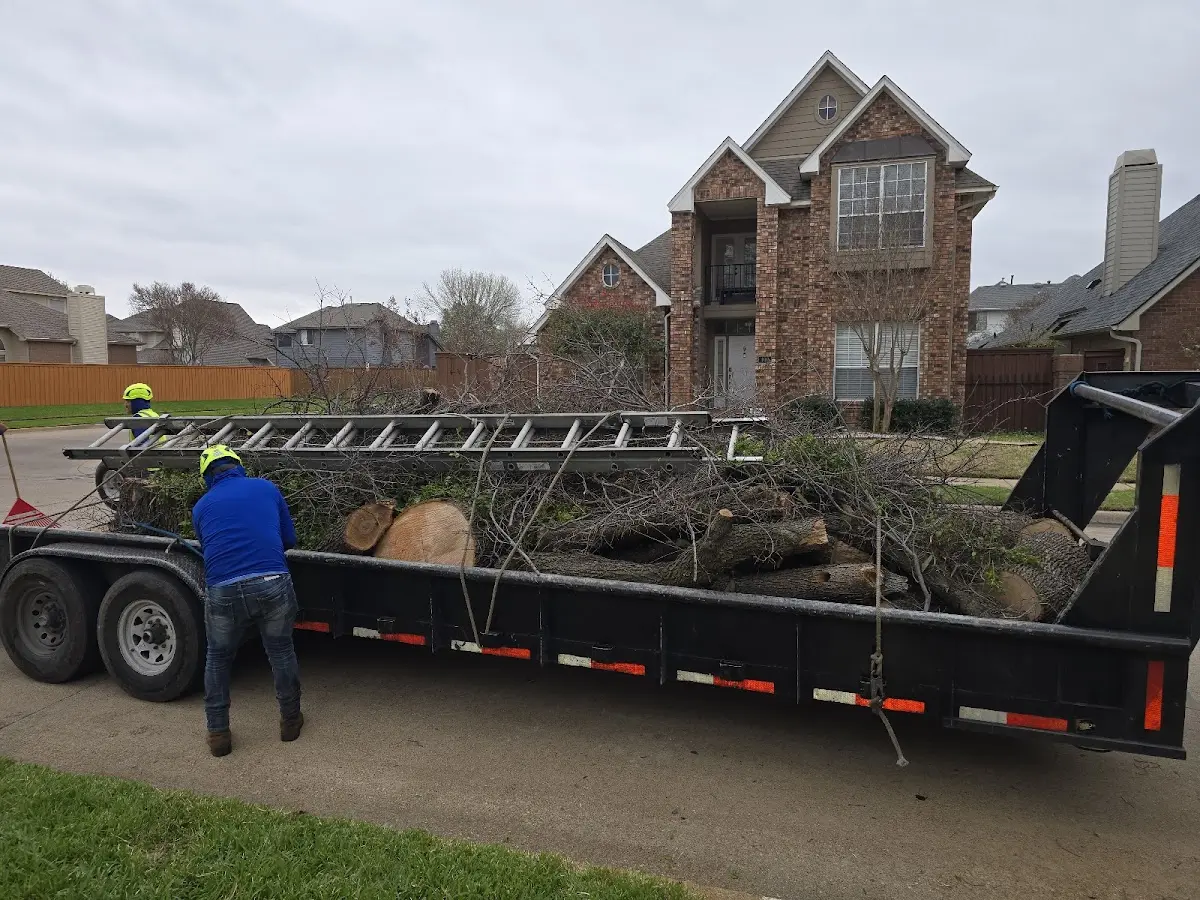 Expert Crown Reduction with proper safety equipment in Augusta Springs